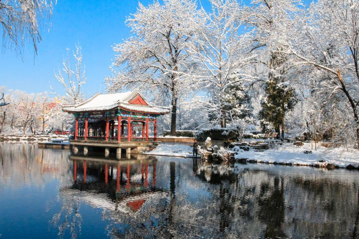 20250423-114 周年校庆｜乐竞官方端网站登录入口离退休教职工书画作品展和摄影作品展开幕-段鸿杰-作品名称：《校园雪韵》作者：费润升.png