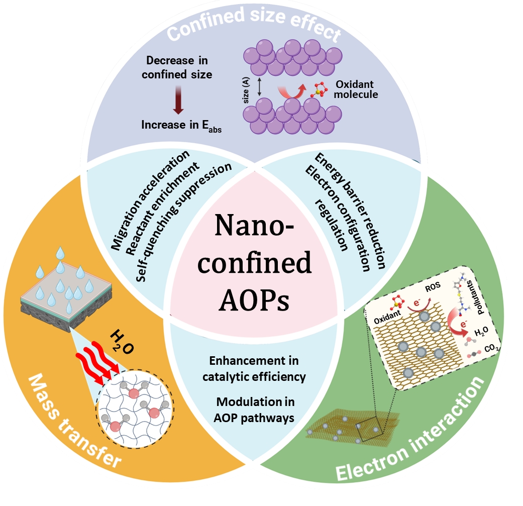 Figure.3.jpg Figure.3.jpg